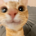 pyyupsk